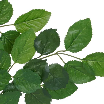 branche artificielle HETRE 60 cm ignifugé - feuille