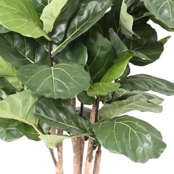 LYRATA artificiel 190 cm (figuier artificiel) - feuilles
