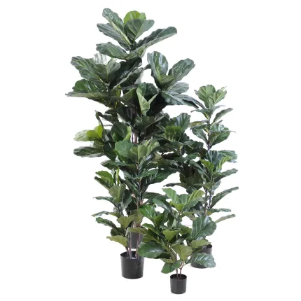 LYRATA artificiel (figuier)  60 à 130 cm