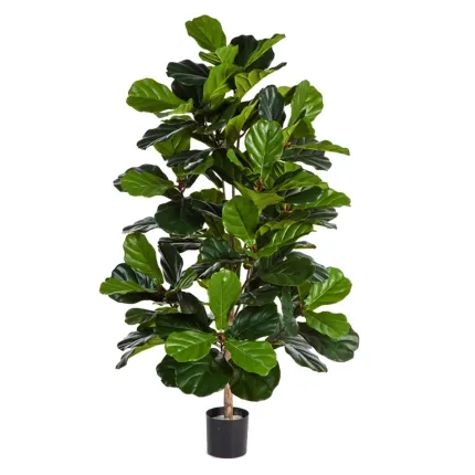 LYRATA artificiel (figuier)  210 cm