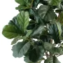 LYRATA artificiel (figuier)  210 cm - feuilles