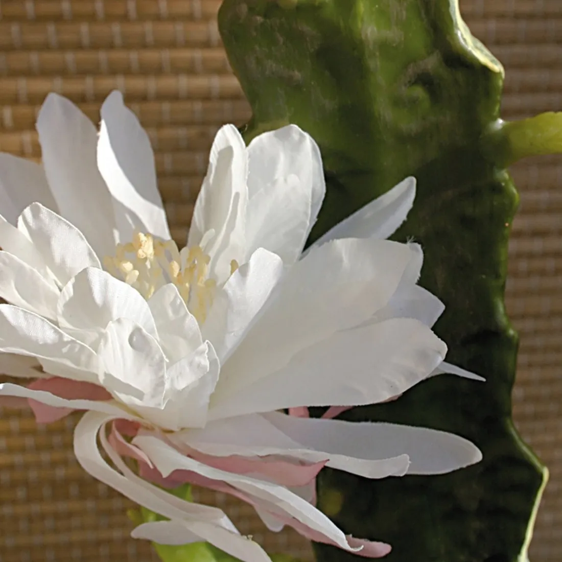 fleurs cactus cierge artificiel fleuri blanc 52 cm