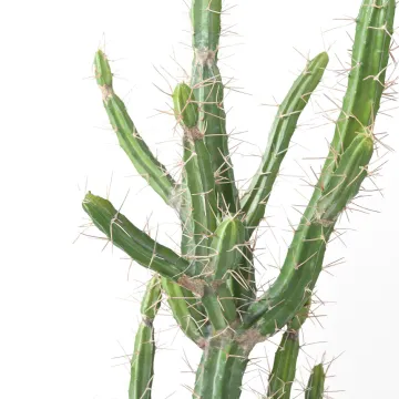 CACTUS artificiel finger - épines détails
