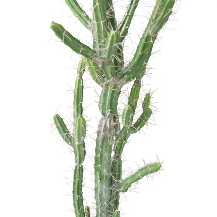 CACTUS artificiel finger 140 cm - épines