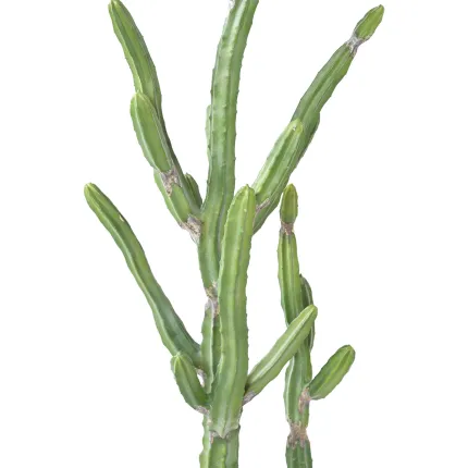 CACTUS artificiel finger 120 cm - épines