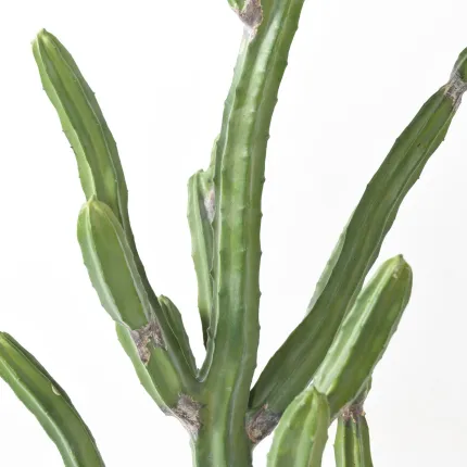 épines CACTUS artificiel finger 80 cm