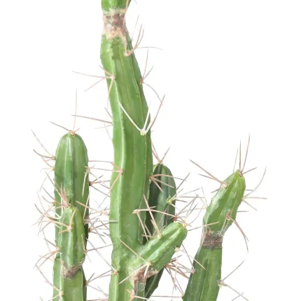 CACTUS artificiel fingers 60 cm - plan rapproché sur épines