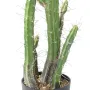 CACTUS artificiel finger 85 cm - partie basse