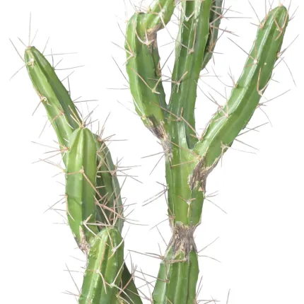 CACTUS artificiel finger 85 cm - plan rapproché