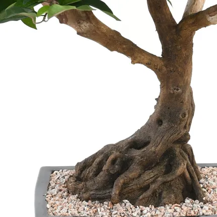 BONSAI artificiel FICUS  68 cm - tronc