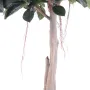 FICUS artificiel ELASTICA ou caoutchouc  220 cm - tronc