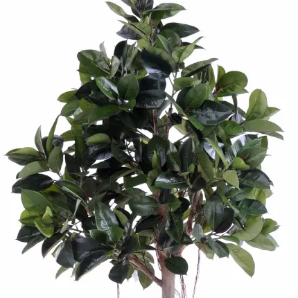 FICUS artificiel ELASTICA ou caoutchouc  220 cm - feuillage