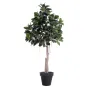 FICUS artificiel ELASTICA ou caoutchouc  220 cm
