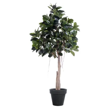 FICUS artificiel ELASTICA ou caoutchouc  220 cm