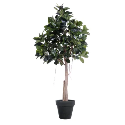 FICUS artificiel ELASTICA ou caoutchouc  220 cm