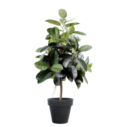 FICUS artificiel ELASTICA ou caoutchouc 150 cm en pot