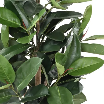 FICUS artificiel ELASTICA ou caoutchouc 110 à 180 cm en pot - feuillage