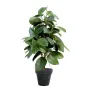 FICUS artificiel ELASTICA ou caoutchouc 110  cm en pot