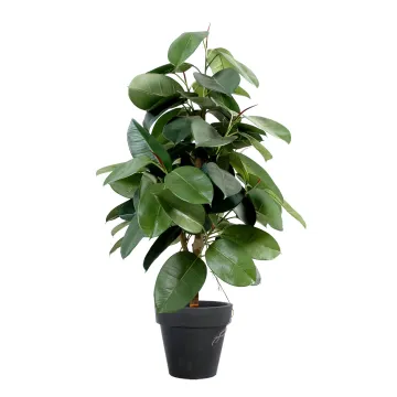 FICUS artificiel ELASTICA ou caoutchouc 110  cm en pot