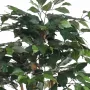 FICUS artificiel multitroncs bon marché 180 cm - feuilles