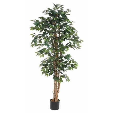 FICUS artificiel multitroncs bon marché 190 cm