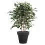 FICUS artificiel EXOTICA buisson  80 et 110 cm