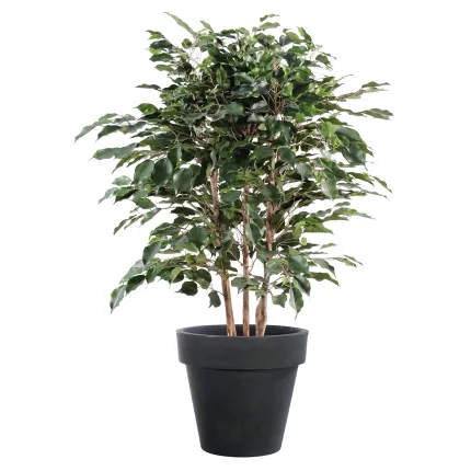 FICUS artificiel EXOTICA buisson  80 et 110 cm