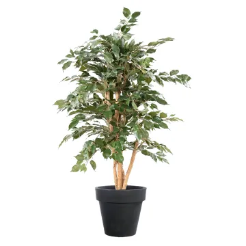 FICUS artificiel benjamina bon marché 150 cm en pot