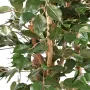 FICUS artificiel benjamina bon marché 150 cm - tronc et feuilles