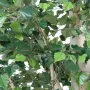 BOULEAU artificiel 300 cm - feuillage