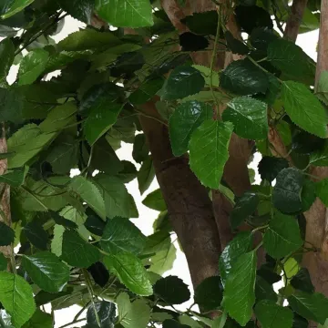 HETRE S artificiel 360 cm - feuilles