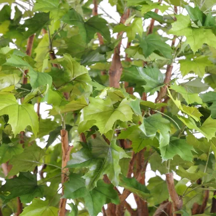 PLATANE géant artificiel 340 à 600 cm - feuillage