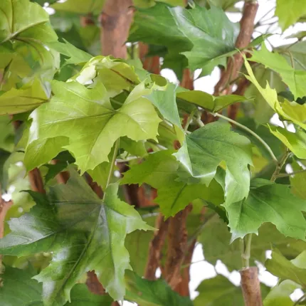 PLATANE géant artificiel 340 à 600 cm - feuille