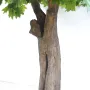 PLATANE géant artificiel 340 à 600 cm - tronc