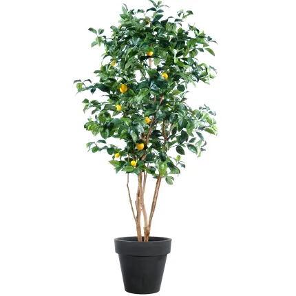 CITRONNIER artificiel New  150 et 180 cm en pot