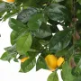 CITRONNIER Tête artificiel 110 cm - feuillage et fruit