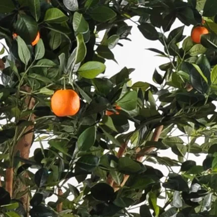 ORANGER artificiel arbre 210 cm - orange et feuillage