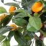 ORANGER artificiel 85 cm diamètre 50 cm - orange et feuilles