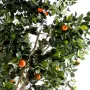 ORANGER artificiel arbre LARGE 280 cm - feuillage