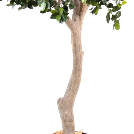 ORANGER artificiel arbre LARGE 280 cm - tronc
