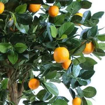 ORANGER artificiel Tête 125 cm - orange et feuillage