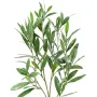 branche OLIVIER artificiel plastique 60 cm - rapproché