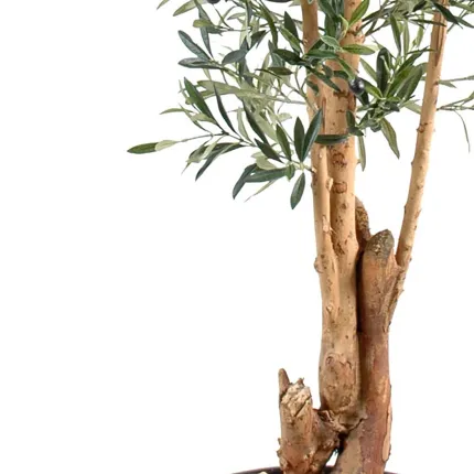 OLIVIER artificiel NEW tronc noueux 170 cm  (olives noires) ANTI FEU - troncs