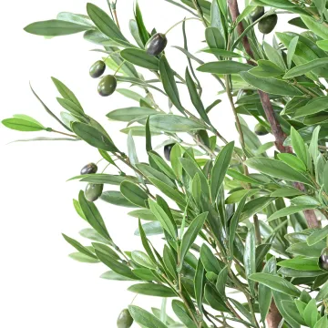 OLIVIER artificiel plastique 150 ou 180 cm  (avec olives ) - olives