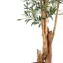 tronc OLIVIER artificiel NEW tronc noueux 150 à 210 cm  (olives noires)