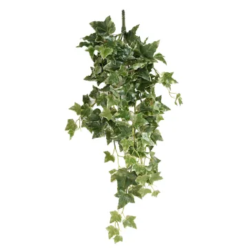 LIERRE Hollandais artificiel 70 cm