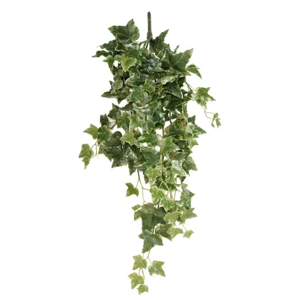 LIERRE Hollandais artificiel 70 cm