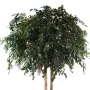 FICUS artificiel EXOTICA GIANT 350 et 480 cm - feuillage