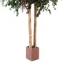 FICUS artificiel EXOTICA GIANT 350 et 480 cm - troncs