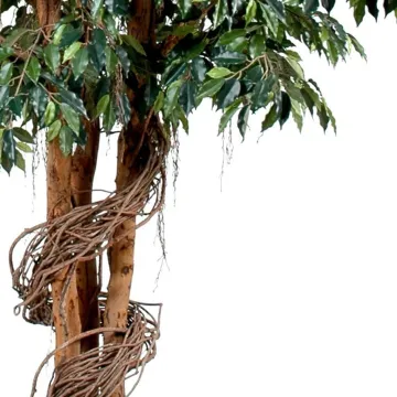 FICUS artificiel GEANT 320 à 650 cm - feuillage